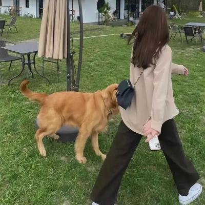 爱里行间